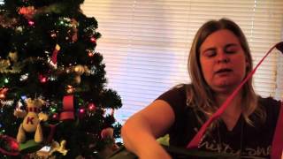 Thirty-One Utility Totes and the Insert