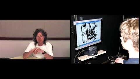 Fractal Expressionism