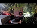 Željko Bebek - Sinoć Sam Pola Kafane Popio Vinyl Rip