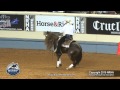 Walla Whiz Affair ridden by Thiago Boechat  - 2015 NRHA Derby (FINALS - Open Derby)