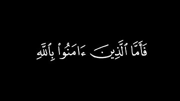 يَا أَيُّهَا النَّاسُ قَدْ جَاءَكُمْ بُرْهَانٌ مِنْ رَبِّكُمْ / كرومات قرآن / القارئ : أحمد بن طالب