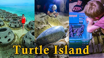 Turtle Islands Park (Selingan) of Sandakan