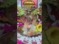 Krishna janmastami