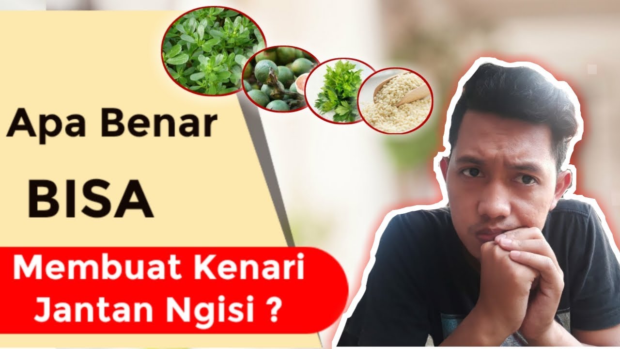 Khasiat Tanaman Herbal Untuk Solusi Kenari Pejantan Tidak Ngisi atau Zonk