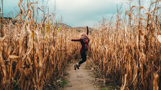 Vermont Corn Maze | Stowe, Vermont Things To Do | Fall in Vermont