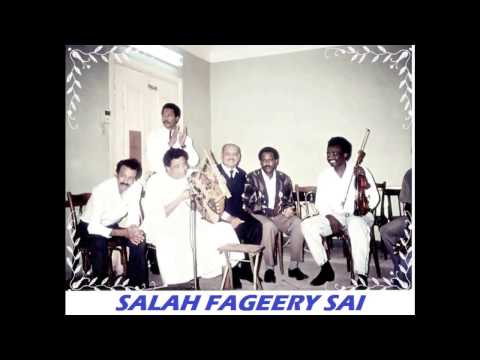 محمد وردي جمال الدنيا Salah Fageery Sai
