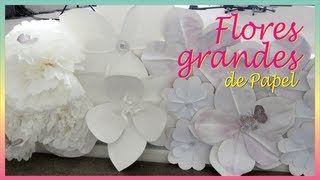 Como fazer Flores Grandes de Papel