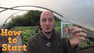 How to Start Seeds when you receive your Gift Pack
