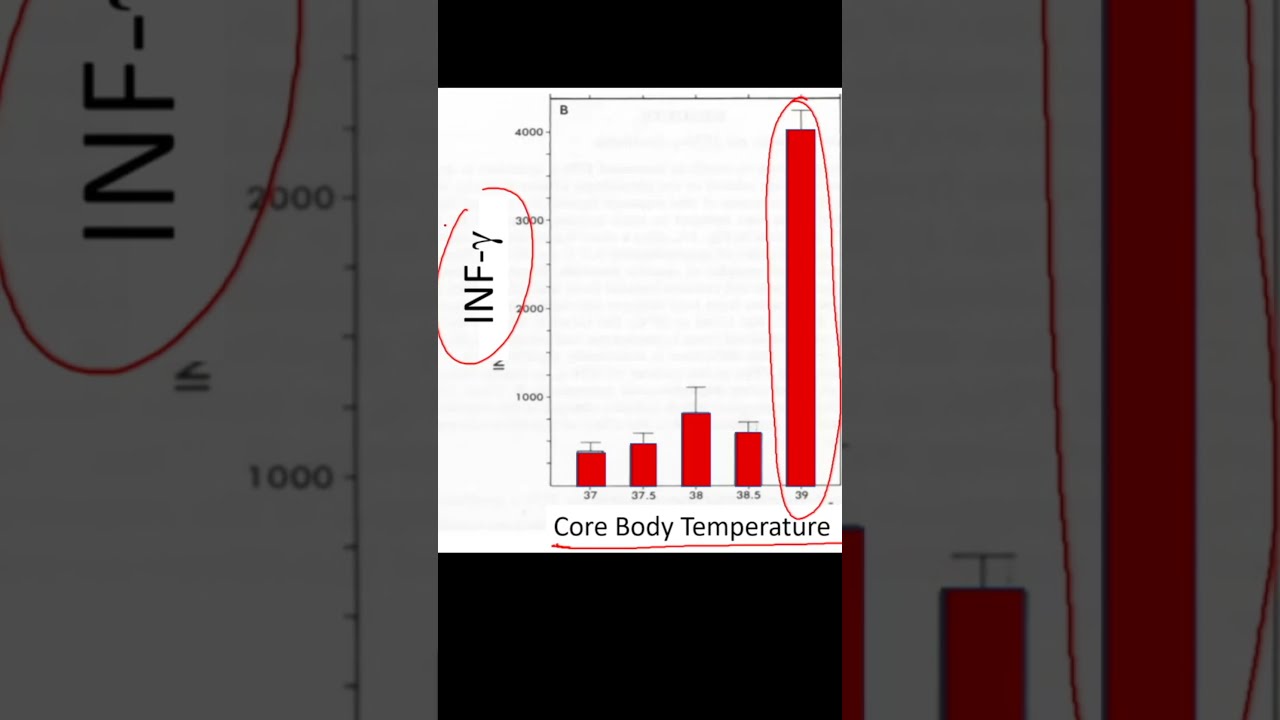Heat Helps Your Immune System Fight Infections Like COVID