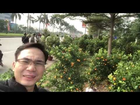 cho tot o ha tinh New Chợ hoa ngày tết tại tp hà tĩnh