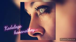 💔Vizhi neerum veenaga song💕whatsapp status