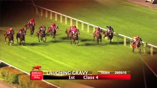 Emirates Singapore Derby 2015 Contenders (Laughing Gravy) screenshot 4