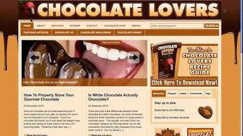 PLR Blog Theme Options Tutorial Part 4 - Homepage Video Player