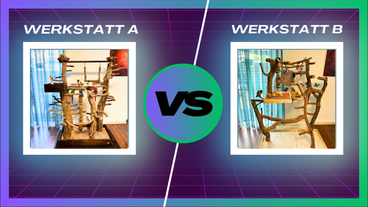 Vergleich Papageien Freisitz