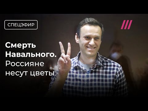 YouTube видео