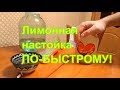 Рецепт лимонной настойки ПО-БЫСТРОМУ!
