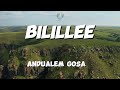 Bilillee  andualem gosa  new oromo music lyrics