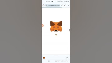 How to Add MetaMask to the Mises Browser