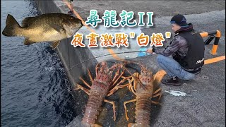 基隆白燈海釣尋龍記2/巧遇沉底紅槽大咬/釣龍蝦斤級挑戰TAIWAN FISHING LOBSTER