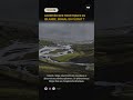Ils arrivent là où on ne les attendait pas…