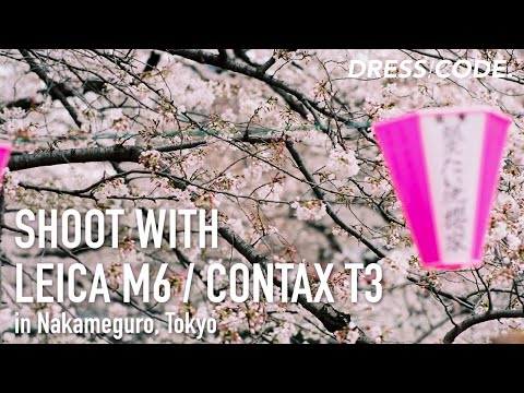 LEICA M6とCONTAX T3で中目黒の桜を撮影してきた！撮影した写真をご紹介。 // Shoot with LEICA M6 and CONTAX T3 in Nakameguro