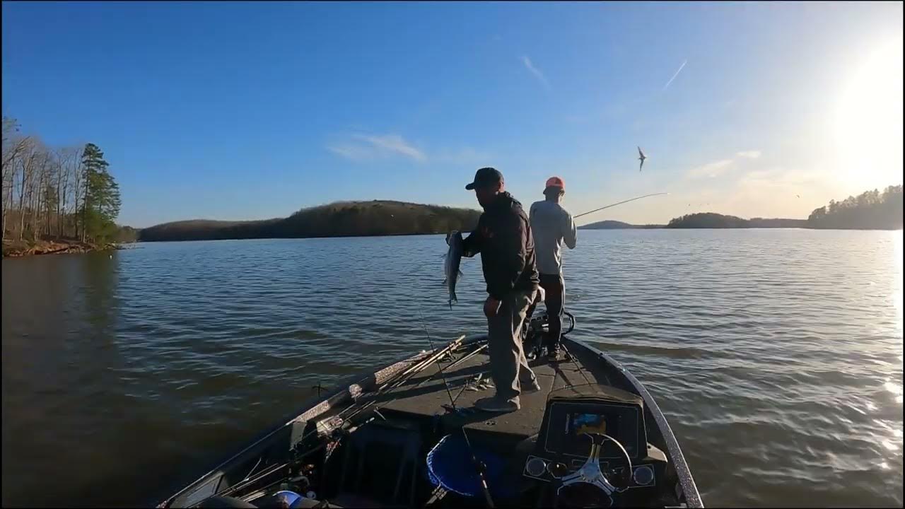 Badin Lake Striper Fishing YouTube