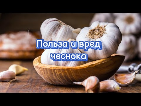 Польза и вред чеснока