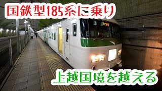 【上越線】185系臨時快速谷川岳もぐら号に乗車