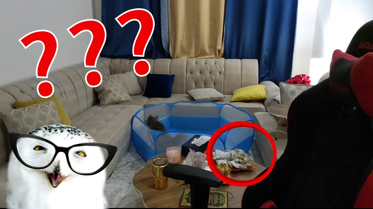 NESTIGATION PART II  |  Are You Serious??!!