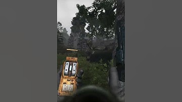 Can Someone explain in Stalker Gamma #shorts #stalker2 #stalker #anomaly #stalkeranomaly #games #fps