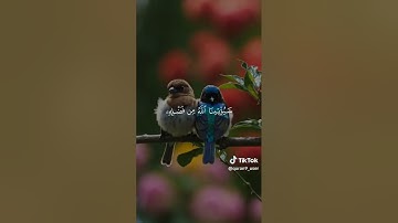 استمع القرآن الكريم #comedianmahmoudagamey #محمودعجمي #قران_كريم #قرآن #جمعة_مباركة #جمعه_طيبه