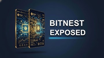 How BitNest Works: The Smart Way to Earn in DeFi 2025 💰