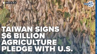 Taiwan signs pledge to buy $6 billion in corn, soybeans from U.S. farmers