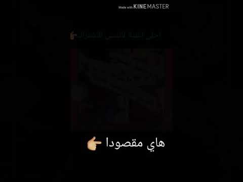 احلى اغنية هاي شبيك ياكلبي شو ماترضه تنساهم 