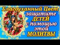 Сильная родительская молитва о детях Пресвятой Богородице пред иконой Ея Благоуханный Цвет