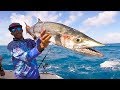 Temporada de pesca Aracaju TUNA48H - Amental Fishing Popper e Jigging Sergipe