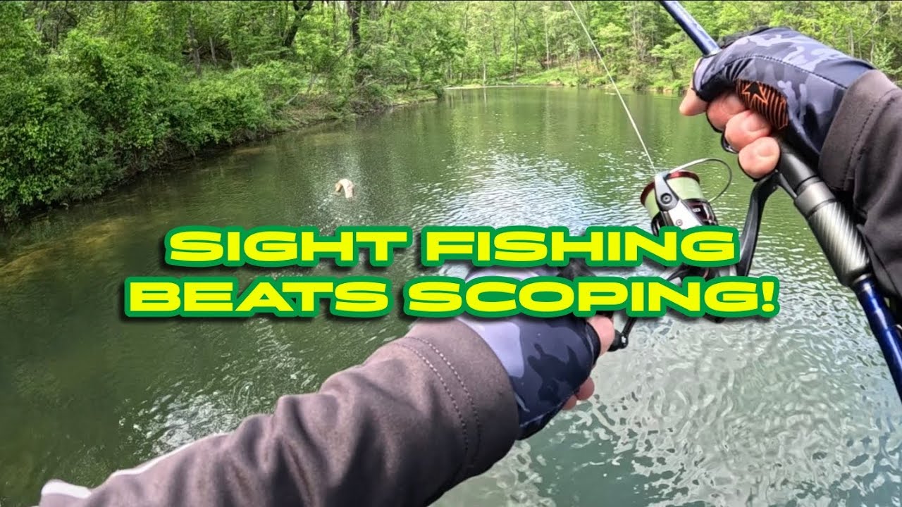 Bass Fishing the Spawn to Postspawn Transition…Number 1 bait! (Claytor Lake)