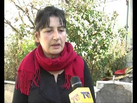 საბავშვო ბაღების საწვავი შეშით მომარაგება დაიწყო