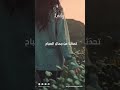صباح الزهور قصيدة تعليق صوتي
