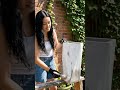 🌹 Кашпо из цемента своими руками | DIY Rose Planter за 60 секунд #shorts