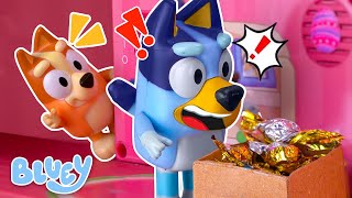 Bluey Toys  There Are Thieves In Bluey‘s House  Safety Lesson