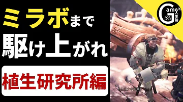 Mhw 植生研究所 枠