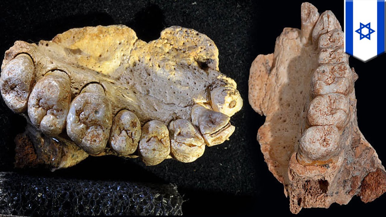 Oldest human remains outside Africa found in Israeli cave