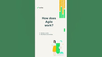 Agile Project Management: The Basics