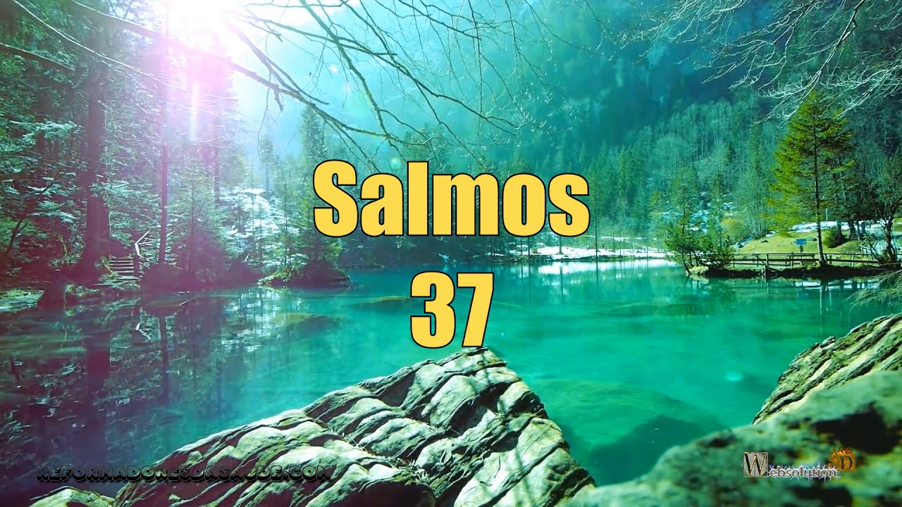 Vídeo: Salmos 37 - Confía en el Señor