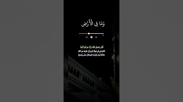 #تلاوة_خاشعة #آية_الكرسي #راحة_نفسية