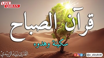 تلاوة رائعة وهادئة لسورة يس بصوت القارئ زيد الزبيدي 2025