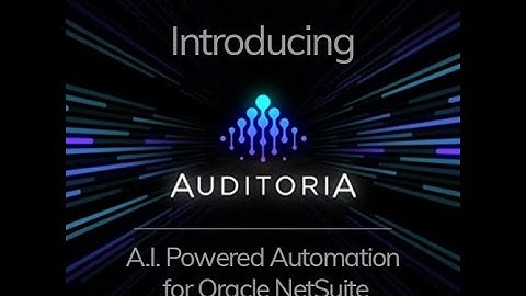 Introducing Auditoria.AI (Oracle NetSuite version)