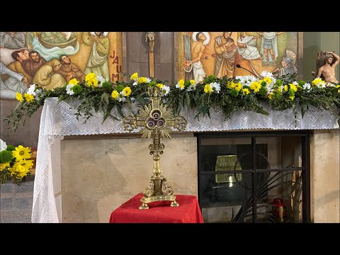 Festa de les