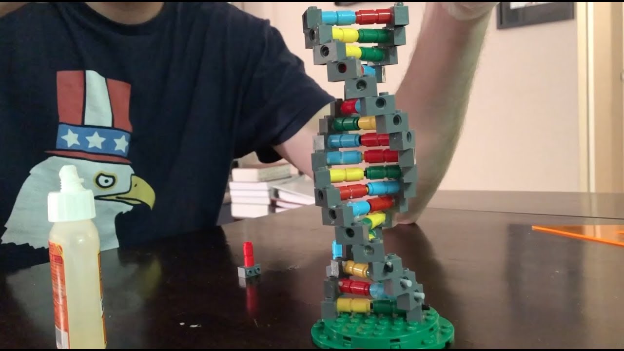 Lego (The Blocks of Life!) - YouTube